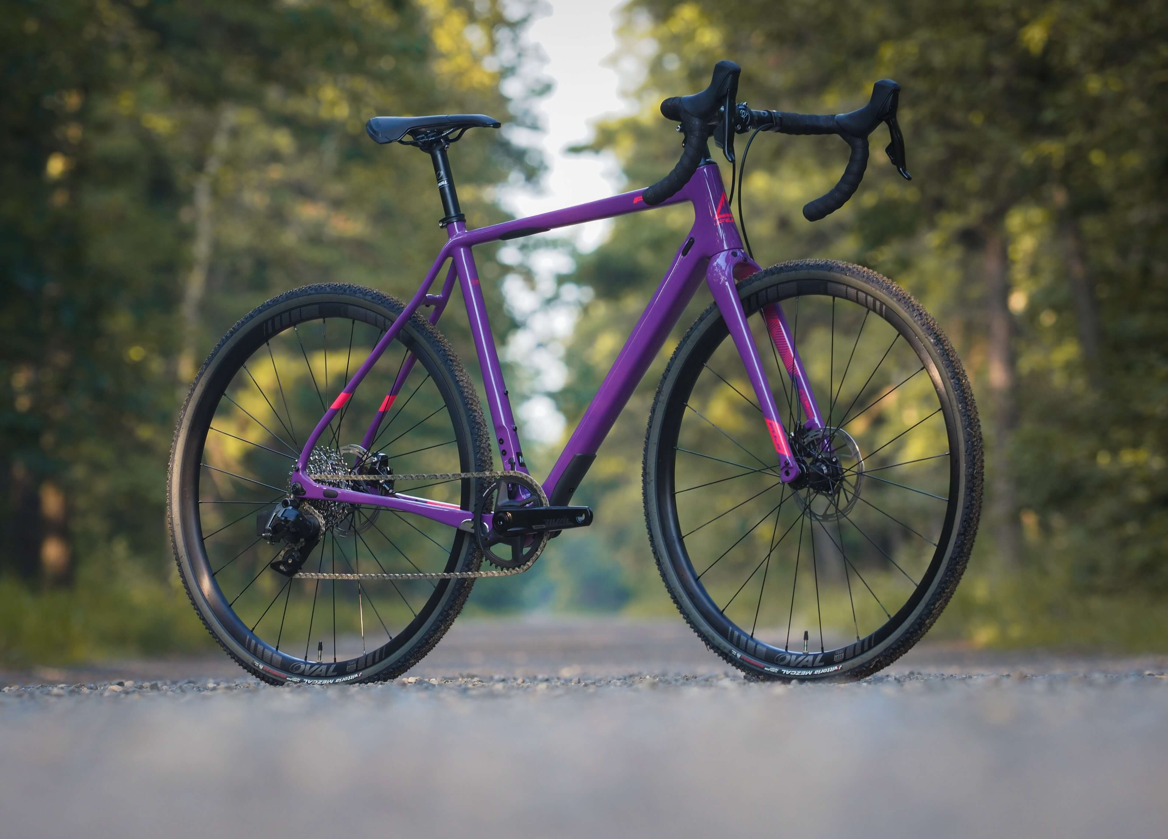 Fuji jari 2024 carbon 2019