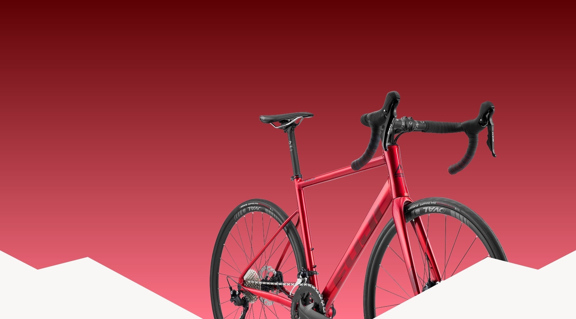 Fuji sl online bike