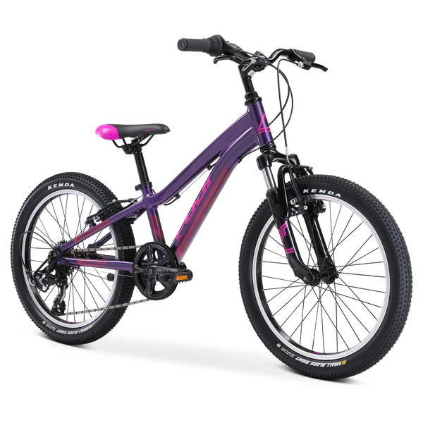 Fuji bike 20 inch hotsell